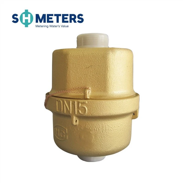 R160/R200 Piston Volumetric Brass Water Meter Class C